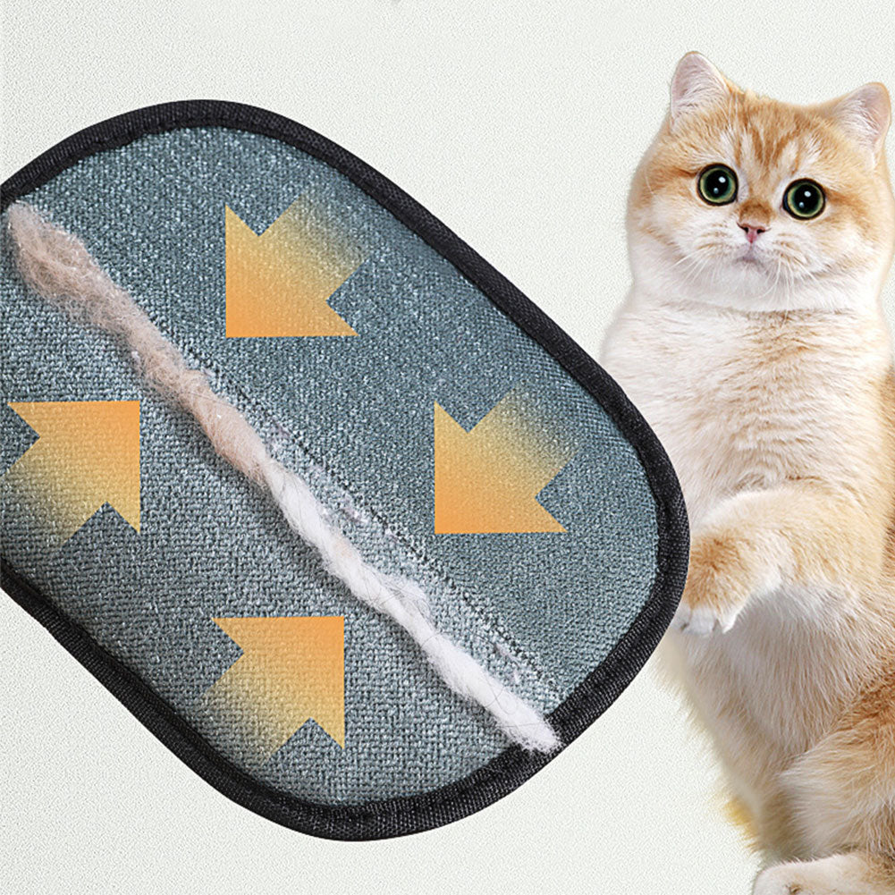 PawSwipe™ HugPaw